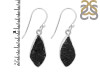 Tektite Earring-E TKT-3-52
