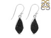Tektite Earring-E TKT-3-52