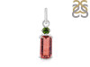 Tourmaline Pendant-2SP TRM-1-1015