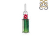 Tourmaline Pendant-2SP TRM-1-497