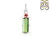 Tourmaline Pendant-2SP TRM-1-501