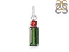 Tourmaline Pendant-2SP TRM-1-504