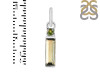 Tourmaline Pendant-2SP TRM-1-539