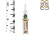 Tourmaline Pendant-2SP TRM-1-556
