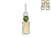 Tourmaline Pendant-2SP TRM-1-588