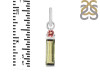 Tourmaline Pendant-2SP TRM-1-666