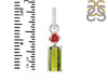 Tourmaline Pendant-2SP TRM-1-671