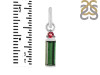 Tourmaline Pendant-2SP TRM-1-678
