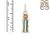 Tourmaline Pendant-2SP TRM-1-700