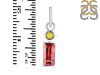 Tourmaline Pendant-2SP TRM-1-766