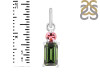 Tourmaline Pendant-2SP TRM-1-769