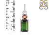 Tourmaline Pendant-2SP TRM-1-773
