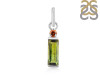 Tourmaline Pendant-2SP TRM-1-793