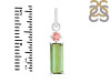 Tourmaline Pendant-2SP TRM-1-811