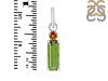 Tourmaline Pendant-2SP TRM-1-818