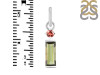 Tourmaline Pendant-2SP TRM-1-819