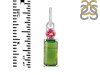 Tourmaline Pendant-2SP TRM-1-865