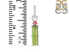 Tourmaline Pendant-2SP TRM-1-877