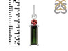 Tourmaline Pendant-2SP TRM-1-978