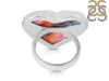 Spiny Oyster Turquoise Ring-R TRO-2-231