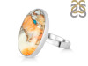 Spiny Oyster Turquoise-Adjustable Ring-ADJ-R TRO-2-252