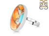 Spiny Oyster Turquoise-Adjustable Ring-ADJ-R TRO-2-263
