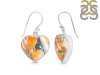 Spiny Oyster Turquoise Earring-E TRO-3-29