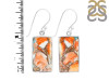 Spiny Oyster Turquoise Earring-E TRO-3-3