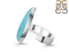 Turquoise Adjustable Ring-ADJ-R TRQ-2-239