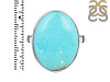 Turquoise Adjustable Ring-ADJ-R TRQ-2-241