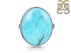 Turquoise Adjustable Ring-ADJ-R TRQ-2-248