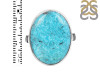 Turquoise Adjustable Ring-ADJ-R TRQ-2-272