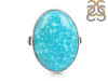 Turquoise Adjustable Ring-ADJ-R TRQ-2-287