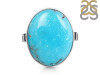 Turquoise Adjustable Ring-ADJ-R TRQ-2-290