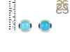 Turquoise Stud Earring TRQ-RDE-1072.