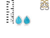 Turquoise Stud Earring TRQ-RDE-1105.