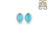 Turquoise Stud Earring TRQ-RDE-1107.