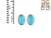 Turquoise Stud Earring TRQ-RDE-1108.