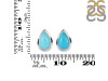 Turquoise Stud Earring TRQ-RDE-1111.