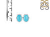 Turquoise Stud Earring TRQ-RDE-1112.