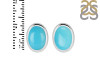 Turquoise Stud Earring TRQ-RDE-1113.