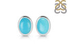 Turquoise Stud Earring TRQ-RDE-1113.