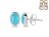 Turquoise Stud Earring TRQ-RDE-1113.