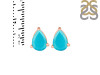 Turquoise Stud Earring TRQ-RDE-1368.