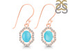 Turquoise & White Topaz Earring TRQ-RDE-694.