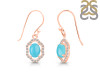 Turquoise & White Topaz Earring TRQ-RDE-694.