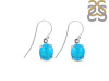 Turquoise Earring TRQ-RDE-896.