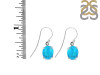 Turquoise Earring TRQ-RDE-896.