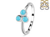 Turquoise Ring TRQ-RDR-1630.