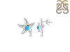 Turquoise Star Fish Stud Earring TRQ-RUE-1.